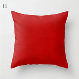 Coussin Rouge