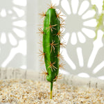 Petits Cactus Artificiels