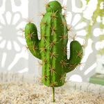 Petits Cactus Artificiels