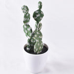 Mini Cactus Artificiel